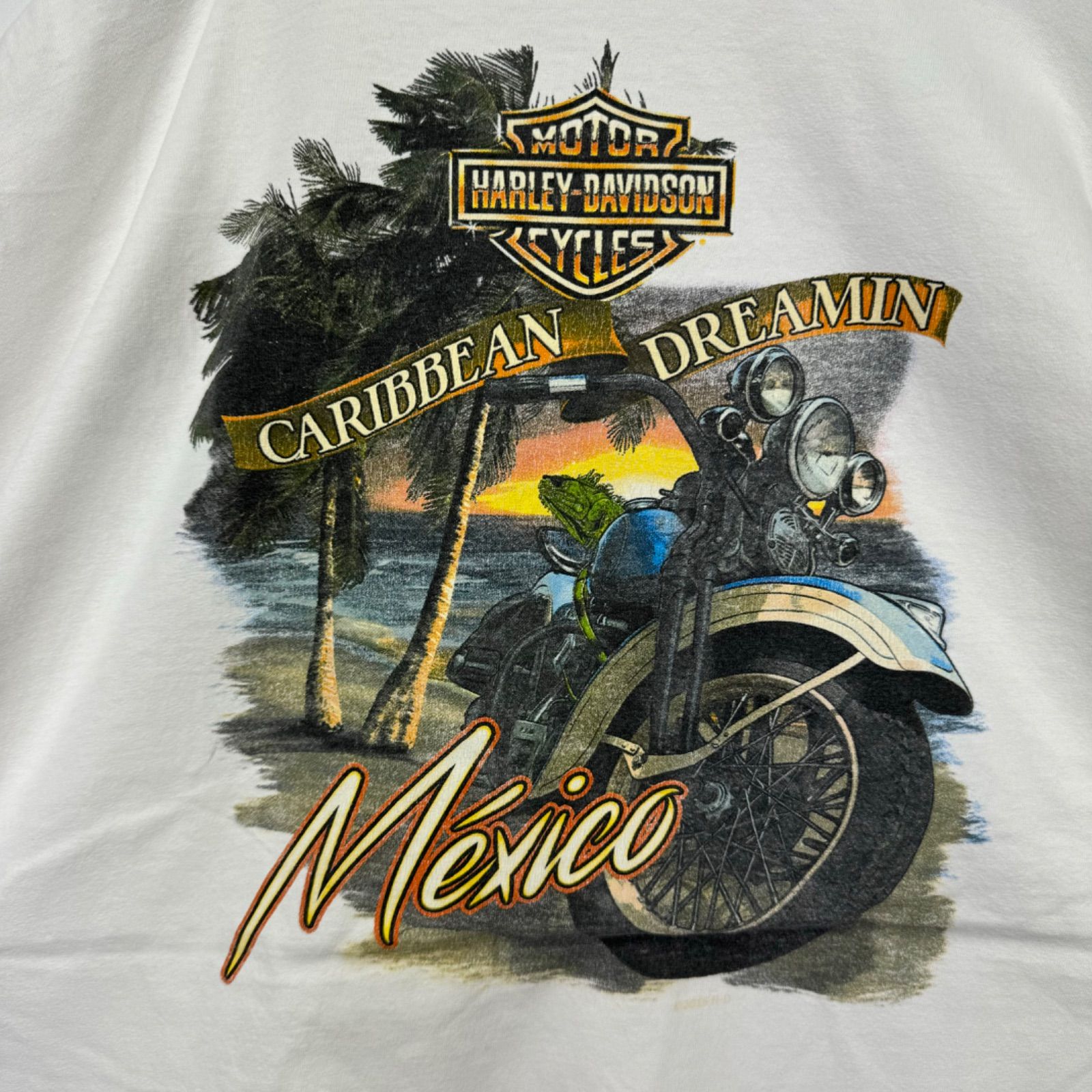 3XL メキシコ製 HARLEY-DAVIDSON Print T-shirt Tee ハーレー 