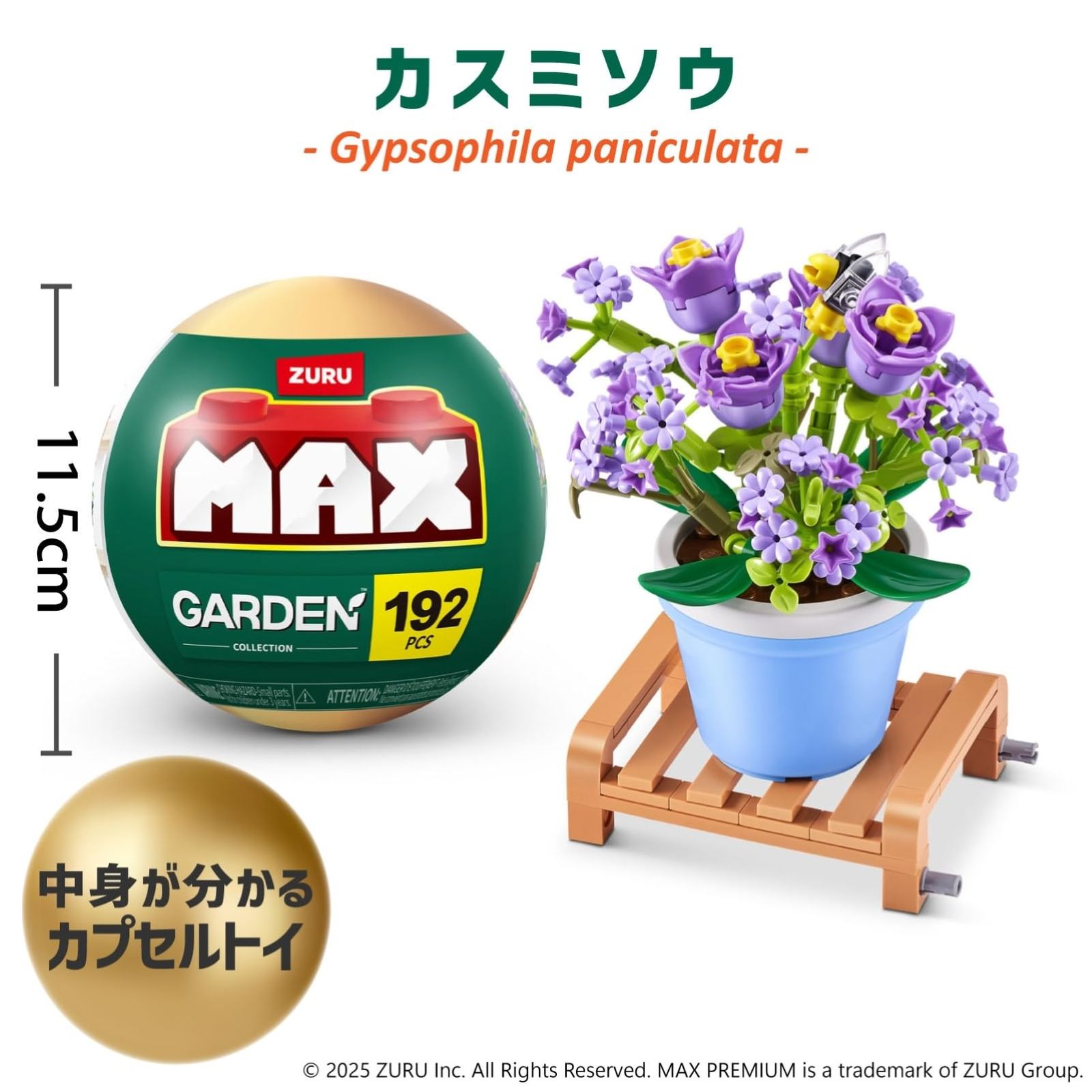 新品 ZURU Max Premium Garden Pot Plants : Gypsophila paniculata