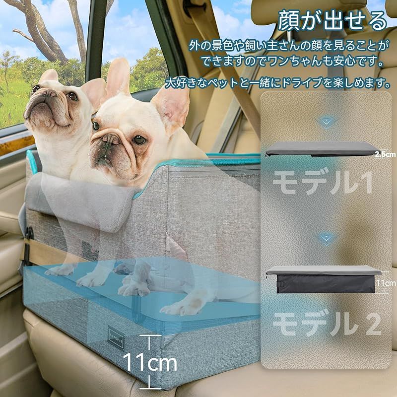 犬