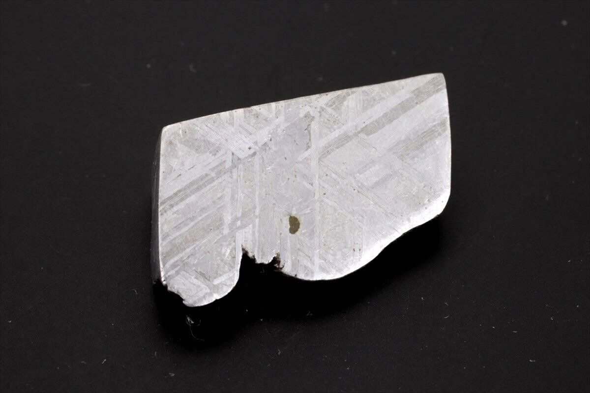 ムオニナルスタ ムオニオナルスタ 10g スライス カット 標本 隕石 