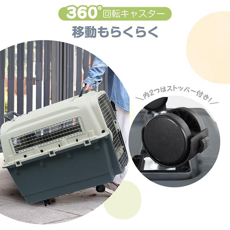 お出かけ 飛行機