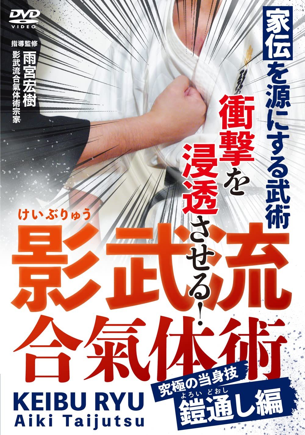 家伝を源にする武術【影武流合氣体術】究極の当身技 鎧通し編(中古品)