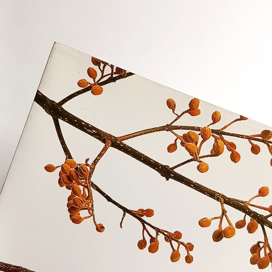 いけばな　花の伝統と文化　希少品　古書 伝統花材いけばな作品集 シリーズ日本の花 全6巻揃(工藤昌伸