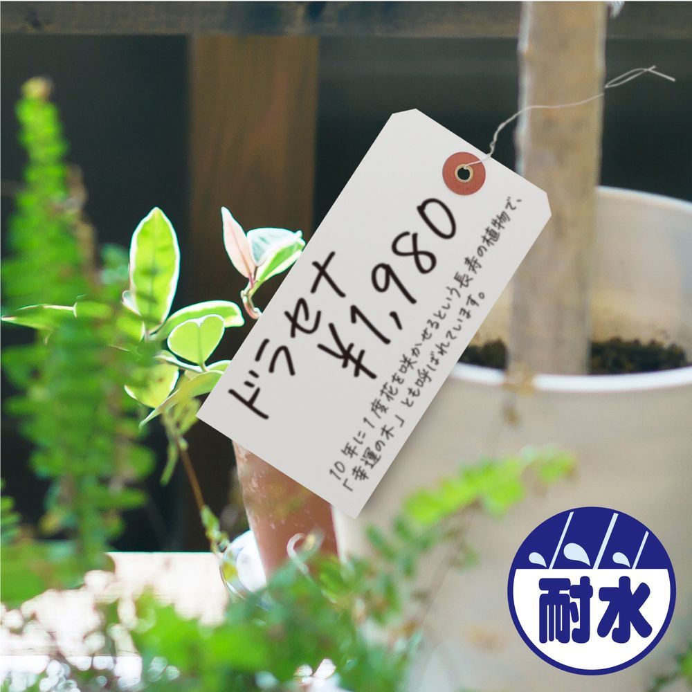 1点