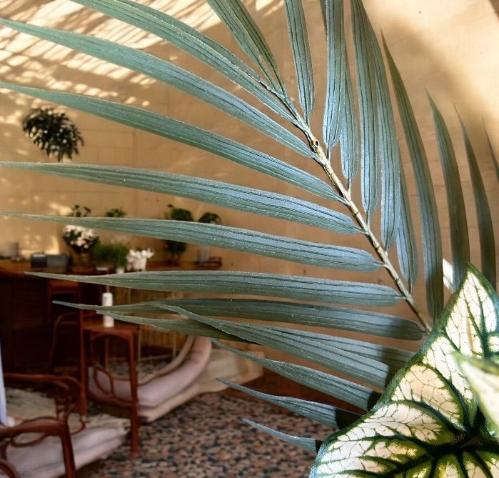 光触媒 人工観葉植物 ウォールグリーン フェイクグリーン カラジューム