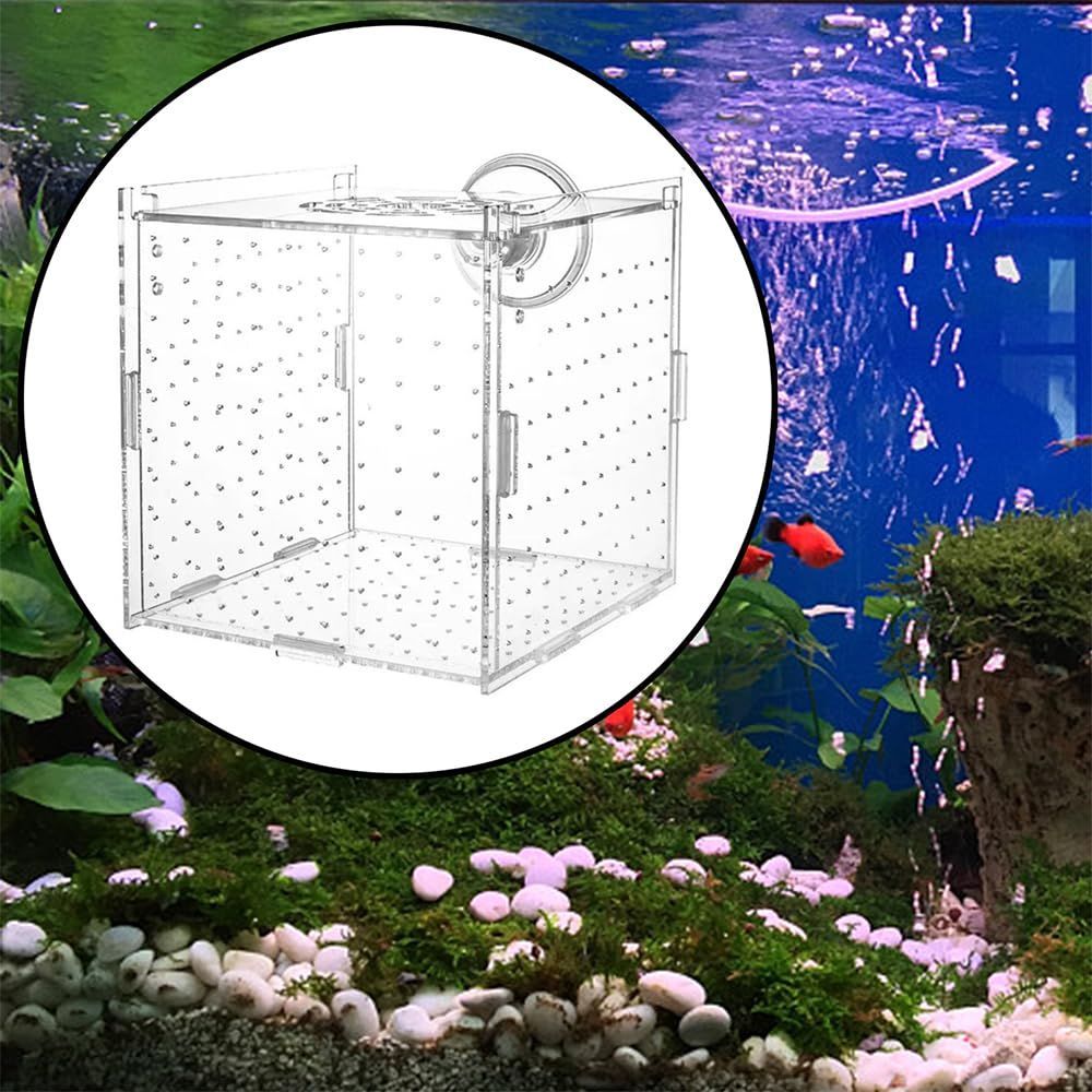新品 SSZYMAOYI 稚魚 繁殖隔離ボックス 透明 アクリル