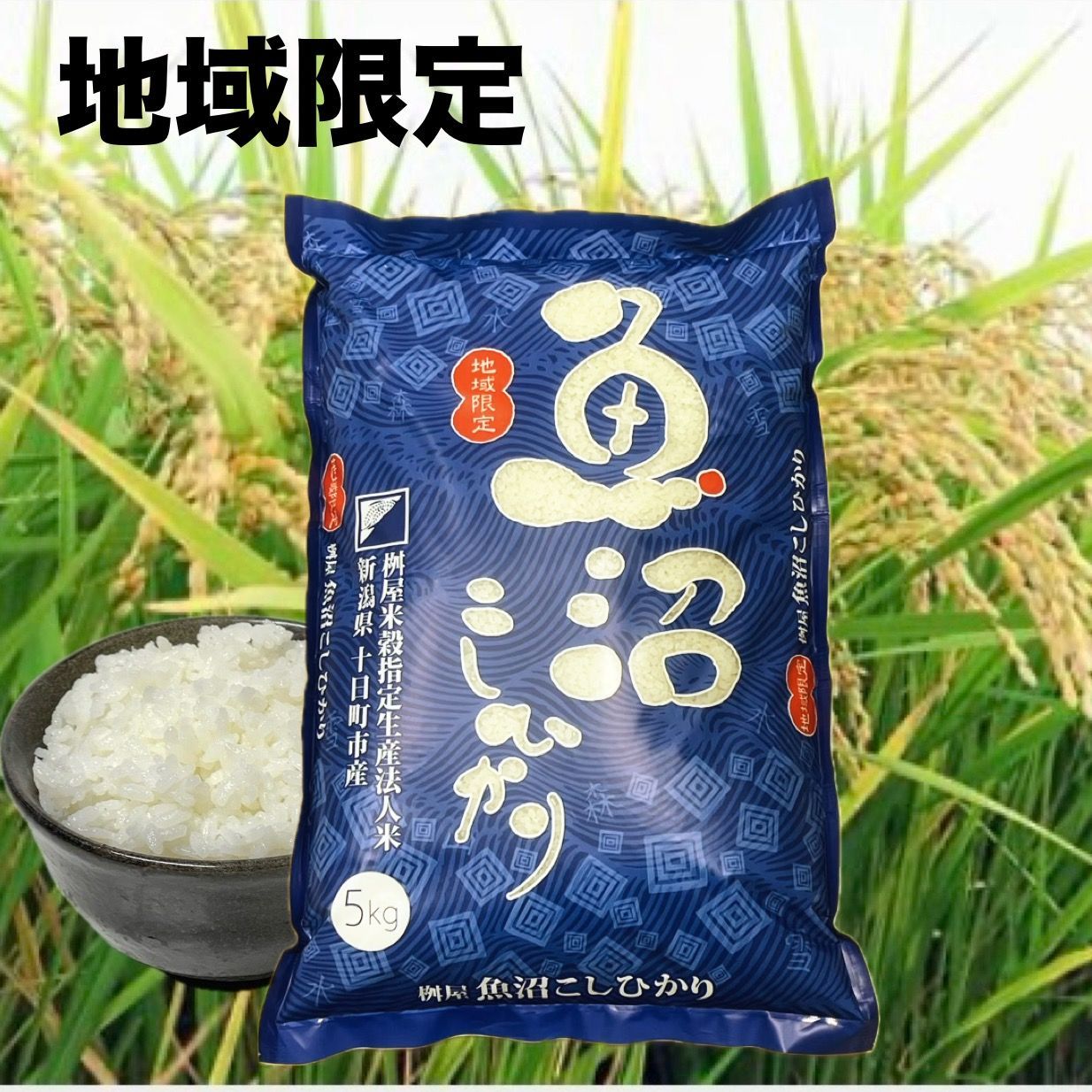 令和7年産 魚沼産こしひかり 5kg 新潟 十日町工場直売 - メルカリ