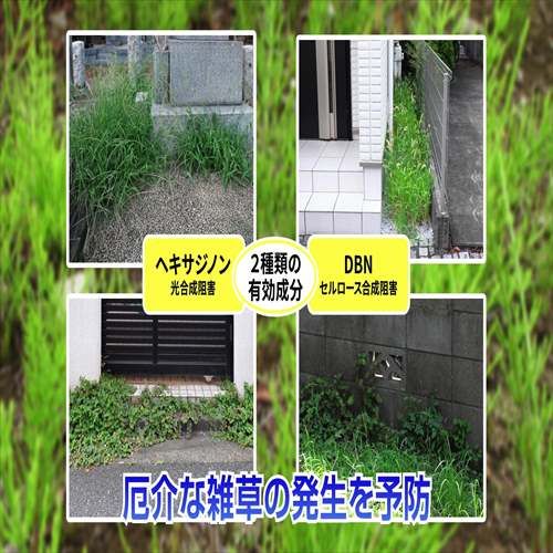 草退治E粒剤