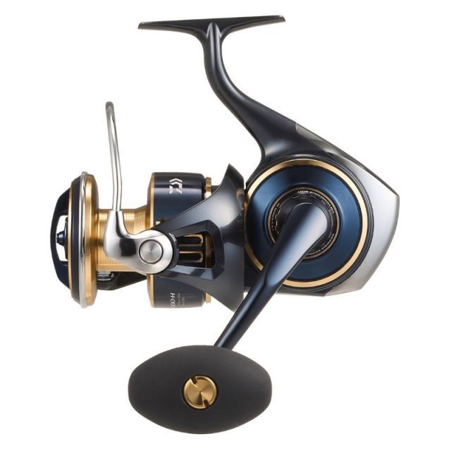 25 ソルティガ 300H DAIWA（釣り） ダイワ 25 ソルティガ 300H 右