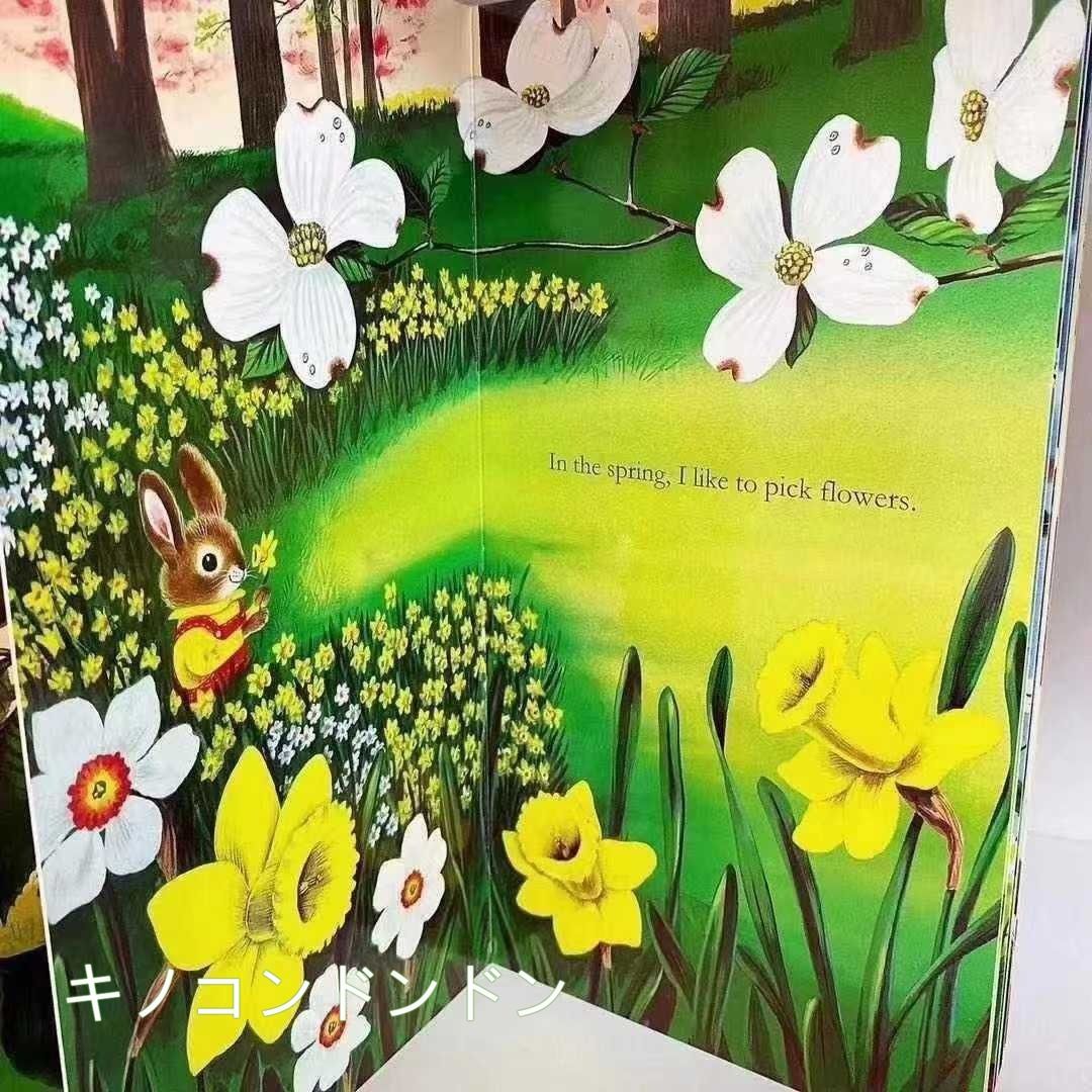 dear zoo brown bear 11冊 青虫 あおむし 英語絵本 洋書 - メルカリ