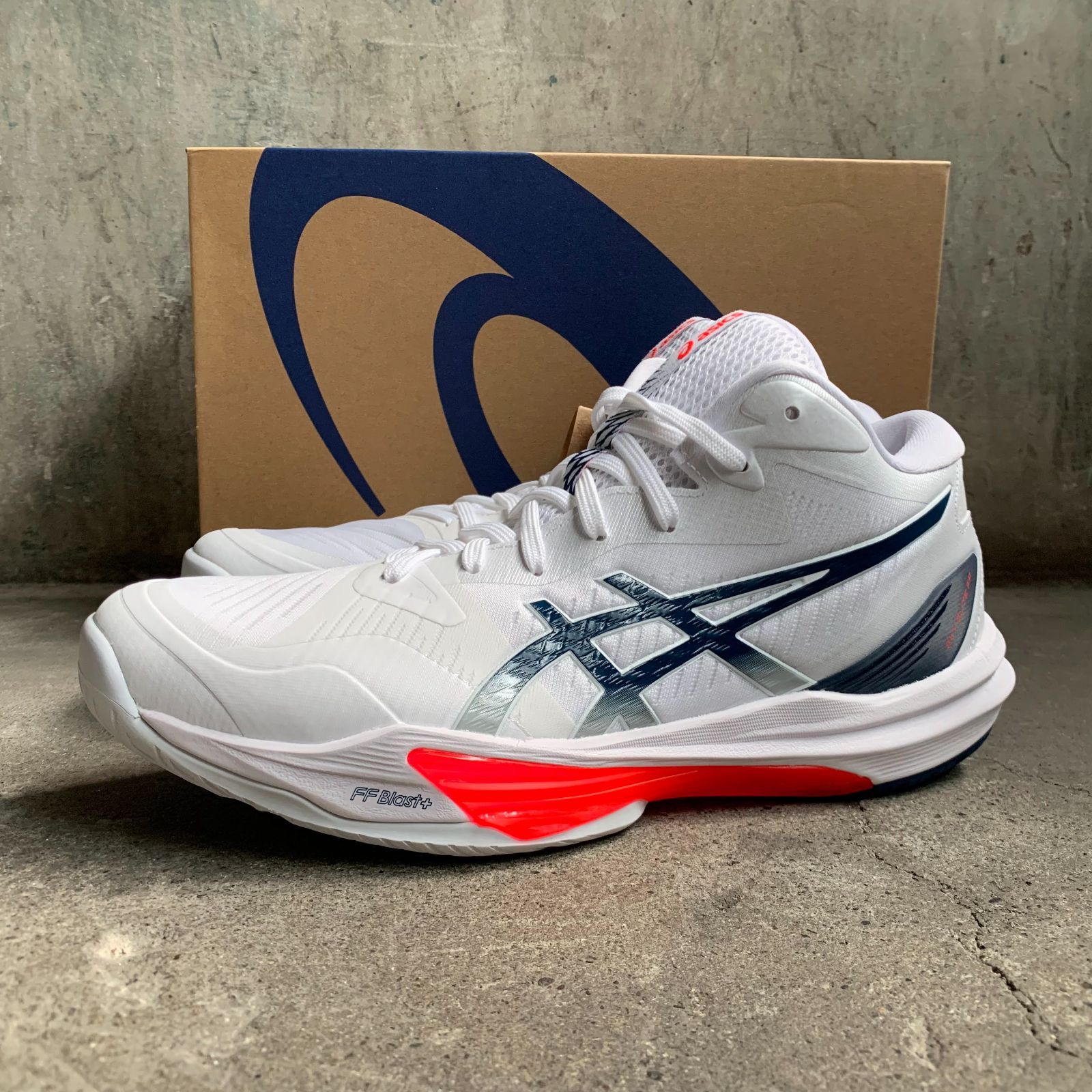 アシックスASICS SKY ELITE FF バレーボールシューズ27.5cm 楽天市場】【2022春夏 新色】 アシックス 【ASICS】 メンズ