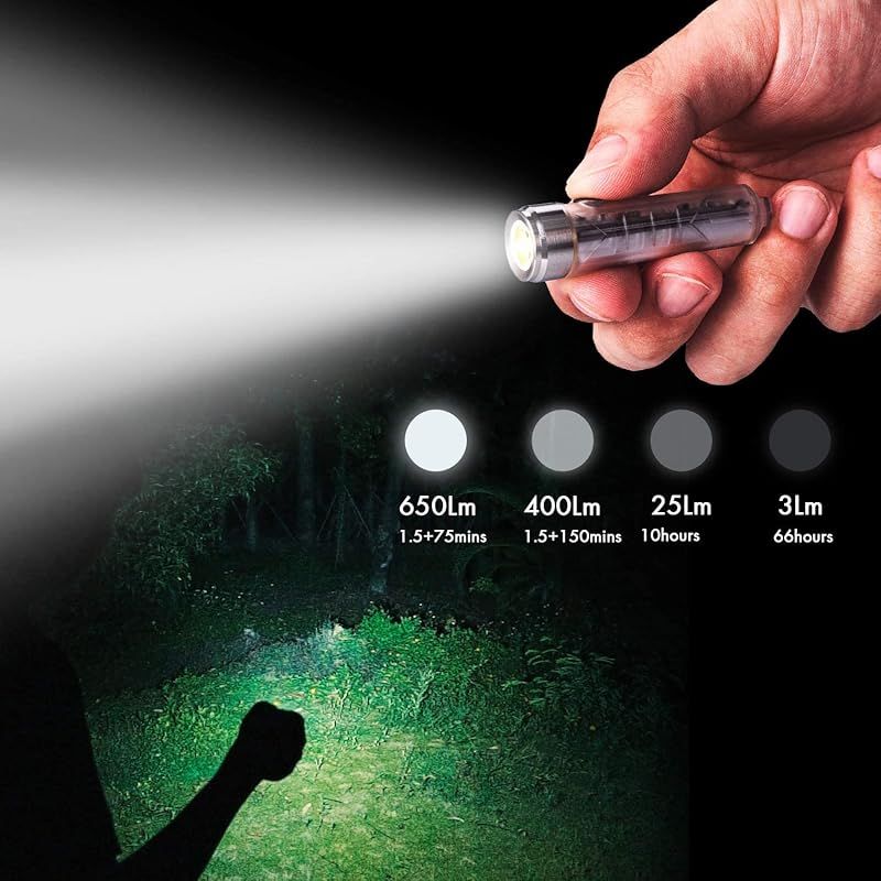 チェック 読書に最適