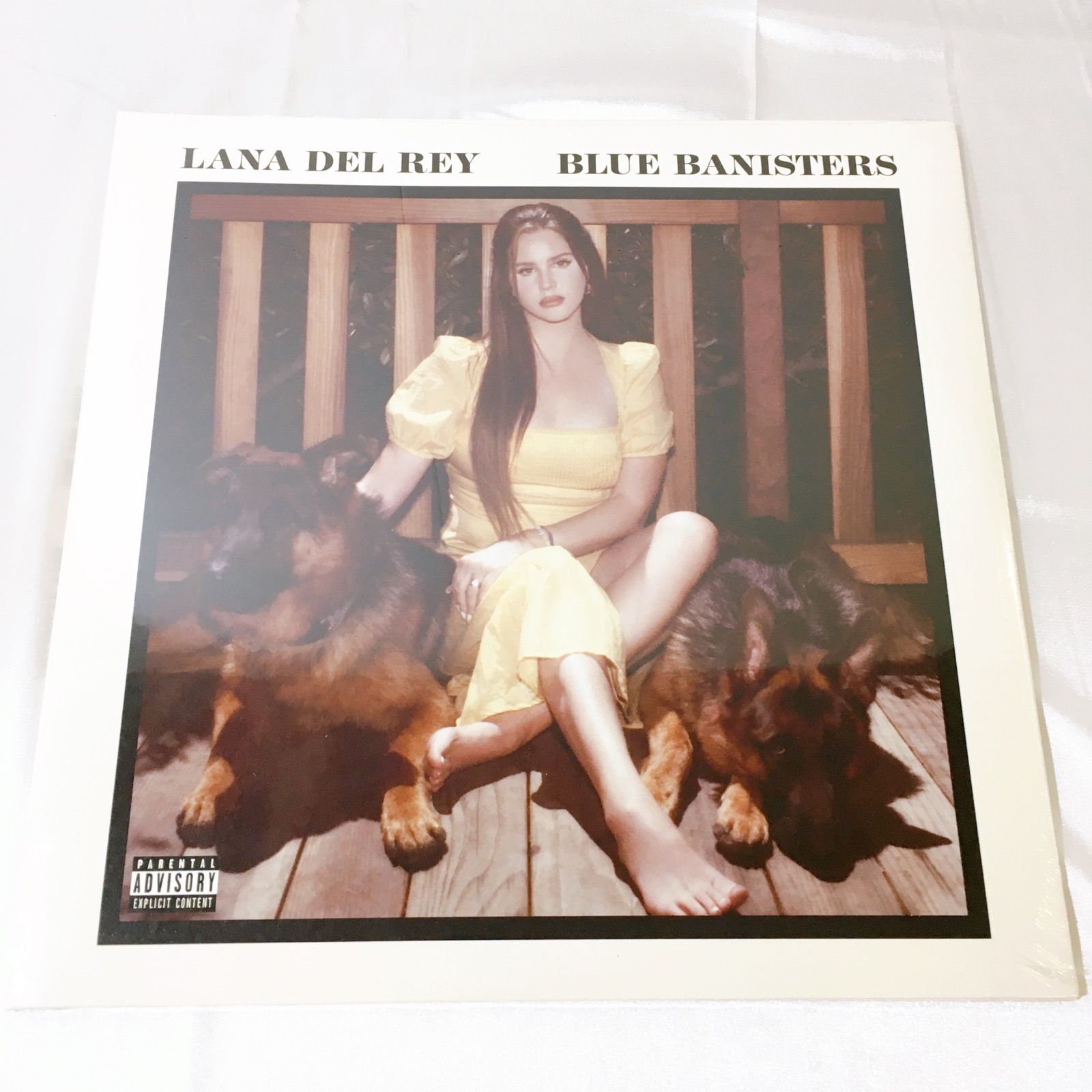 未開封品】LPレコード アナログ盤 BLUE BANISTERS (2LP) LANA DEL REY