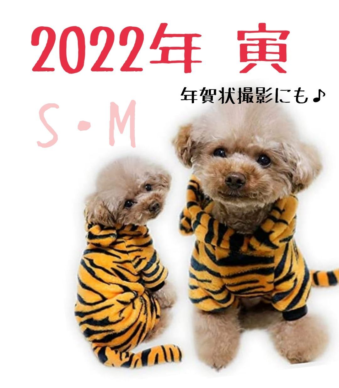 メルカリshops 犬 服 着ぐるみ とら 年賀状 犬用品 お正月 干支