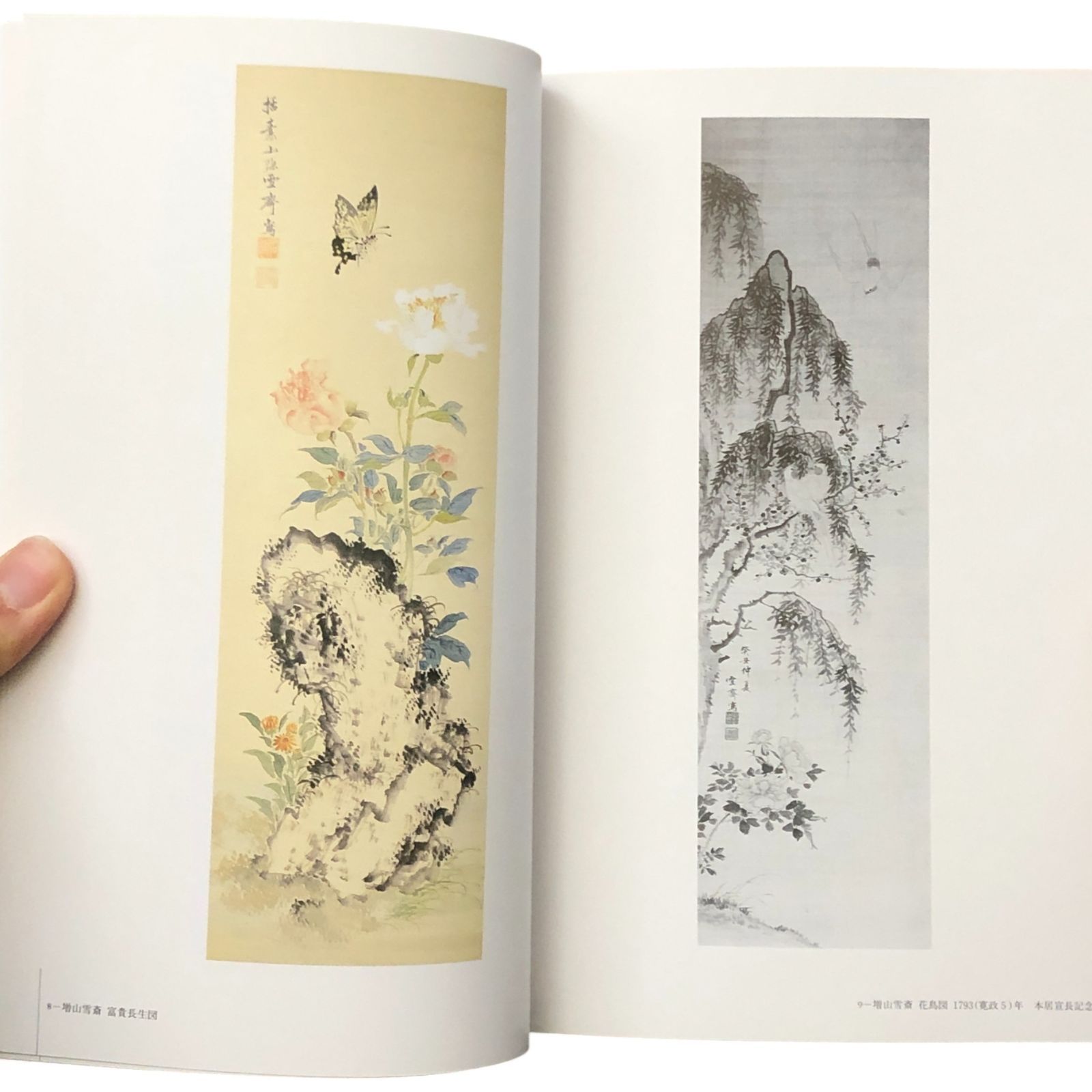 江戸の風流才子・増山雪斎展図録 三重県立美術館 三重県立美術館 1993