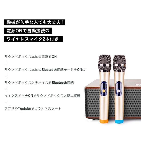 はこぽす対応商品】 HANZON 無線マイク付ホームカラオケ Bluetooth