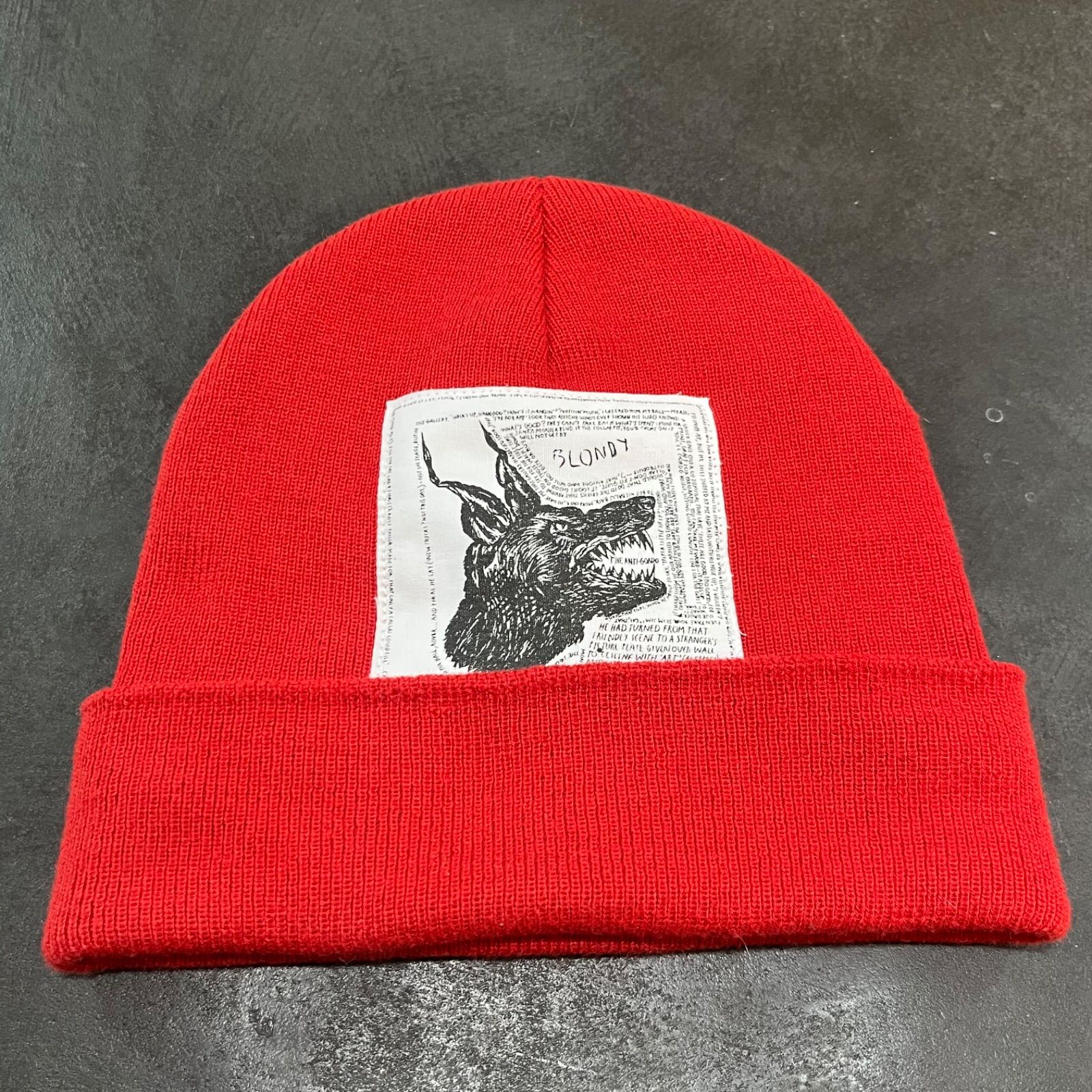 国内正規 Supreme × THE NORTH FACE 24AW Beanie RAYMOND
