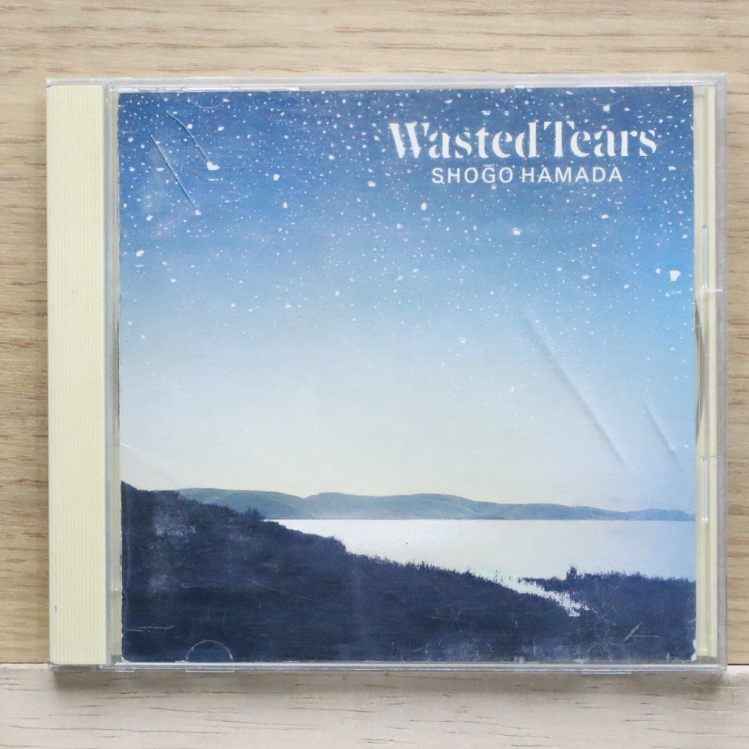 浜田　省吾　　Wested Tears 新品レコード 浜田 省吾 / WASTED TEARS（中古レコード） - BORDERLINE RECORDS