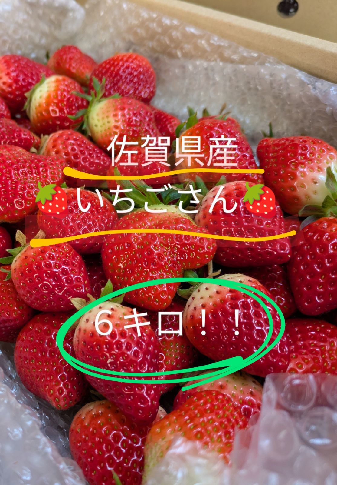 価格 新鮮 佐賀県産いちごさん 約6キロ