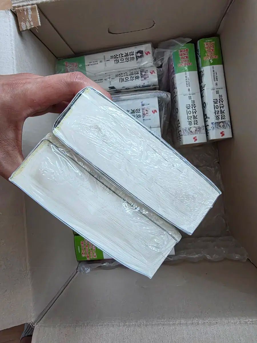 オン・ザ・ボーダーライン 地平線 1 5 富 出品