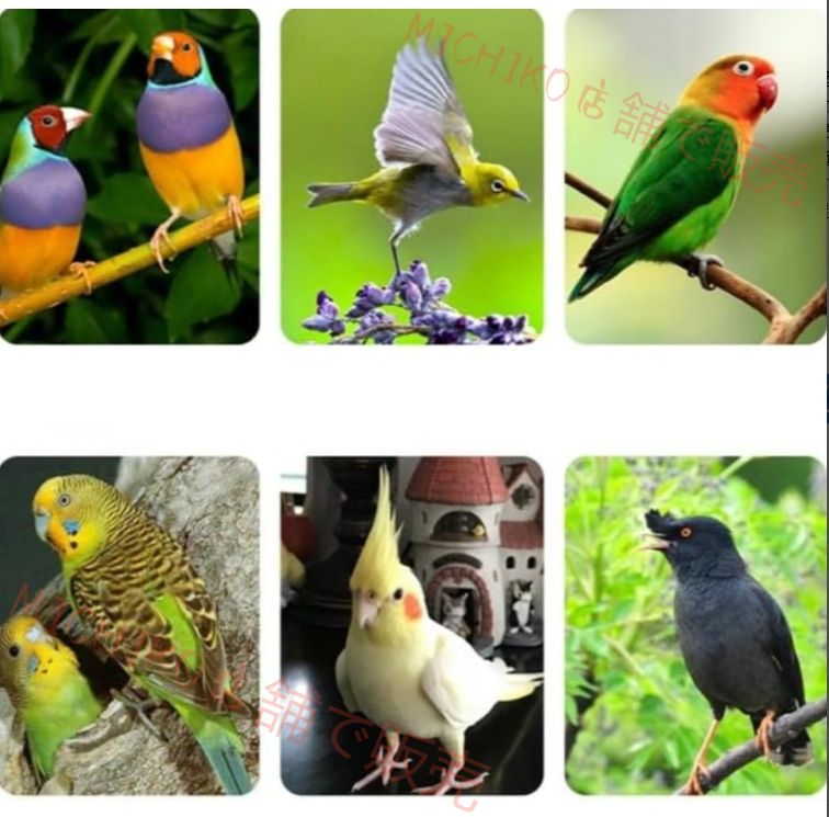 大型 鳥かご セキセイインコケージ 手乗りインコ ステンレス素材 ステンレススチールシャーシが付属 ステンレス製スタンディングスティック ユニバーサルホイール 鳥小屋 複数飼い 大きいケージ オカメインコ 雨除け付き94*64*120cm