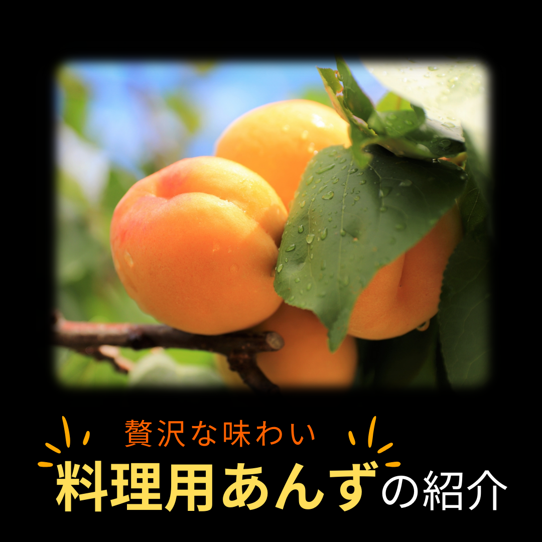 小玉あんず～杏シロップ・杏酒用～【内容量】約1.8kg【配送方法】クール配送【サイズ】L以下【品目】杏（あんず）【品種】当店お任せ【産地】長野県【規格】ご家庭用A品B品混合【詰め方】バラ詰め【配送までの日数】1～4日