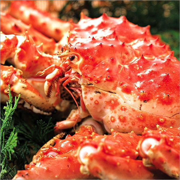 カニ かに 蟹 グルメ 無添加 タラバ カット済 たらば 生タラバガニ 2kg (ロシア・ノルウェー・アメリカ 産) カニ 蟹 かに 送料無料 セール
