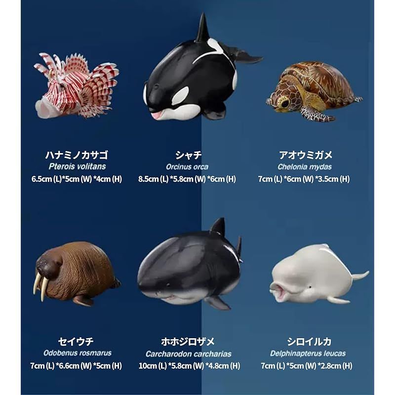 動物惑星 ガチャガチャ ブラインド ボックス シロイルカ シャチ