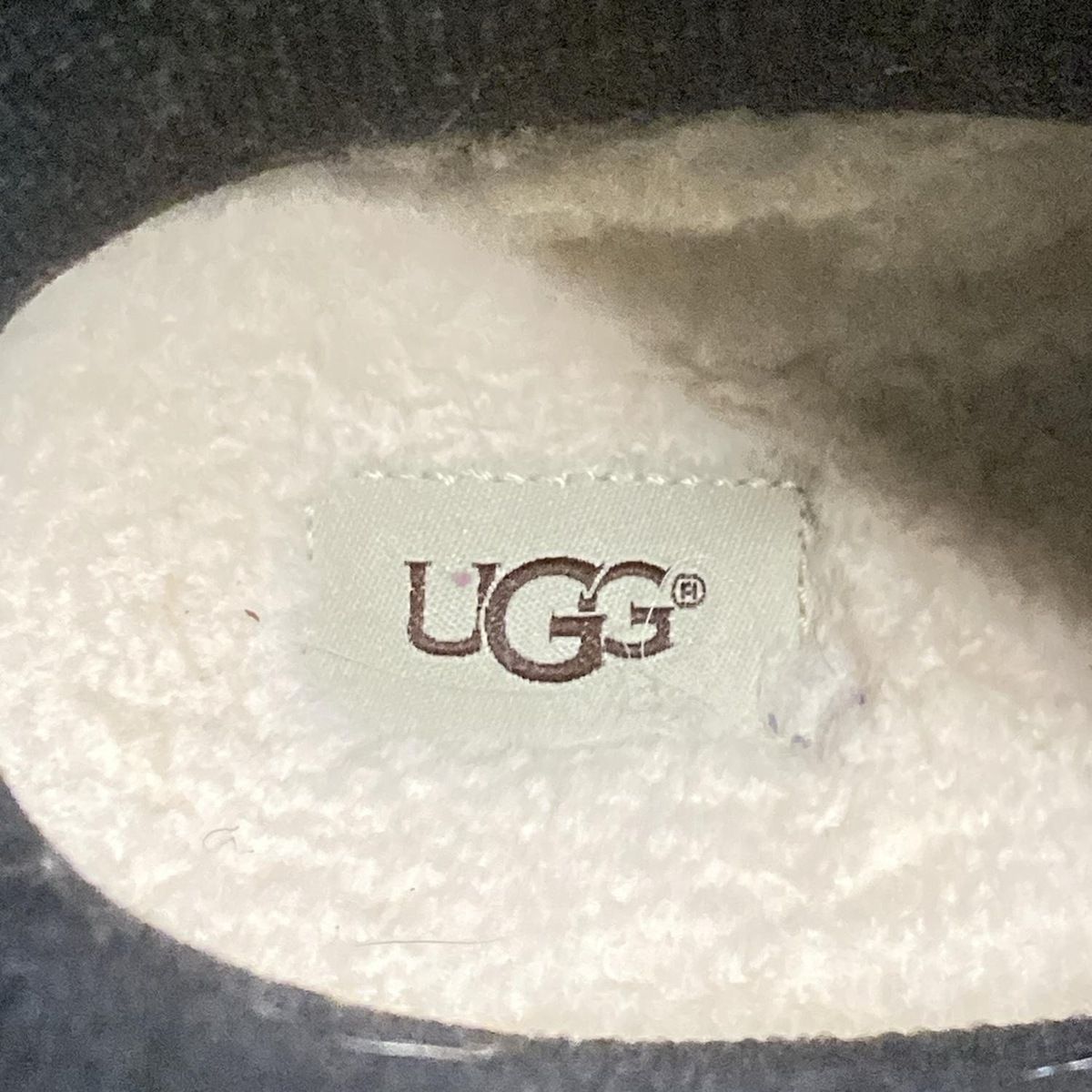 - ライトグリーン