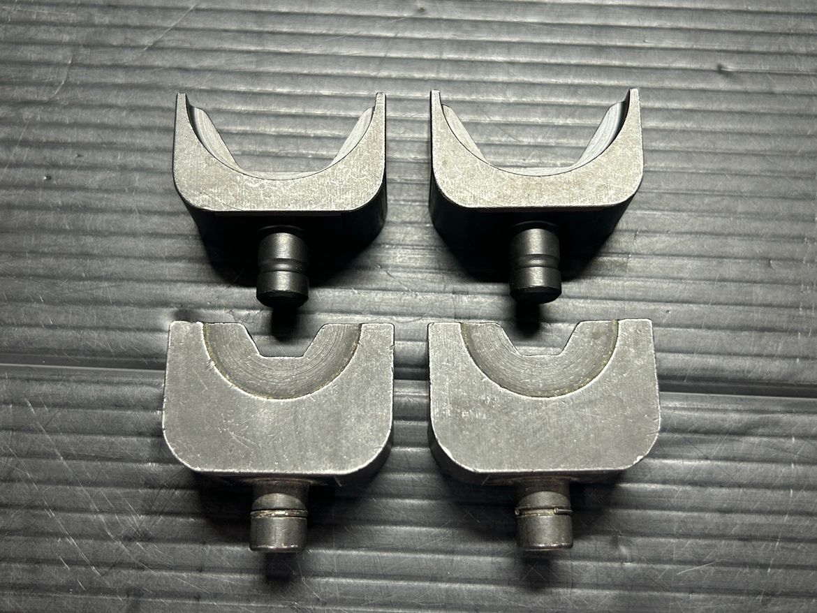 カクタス イズミ