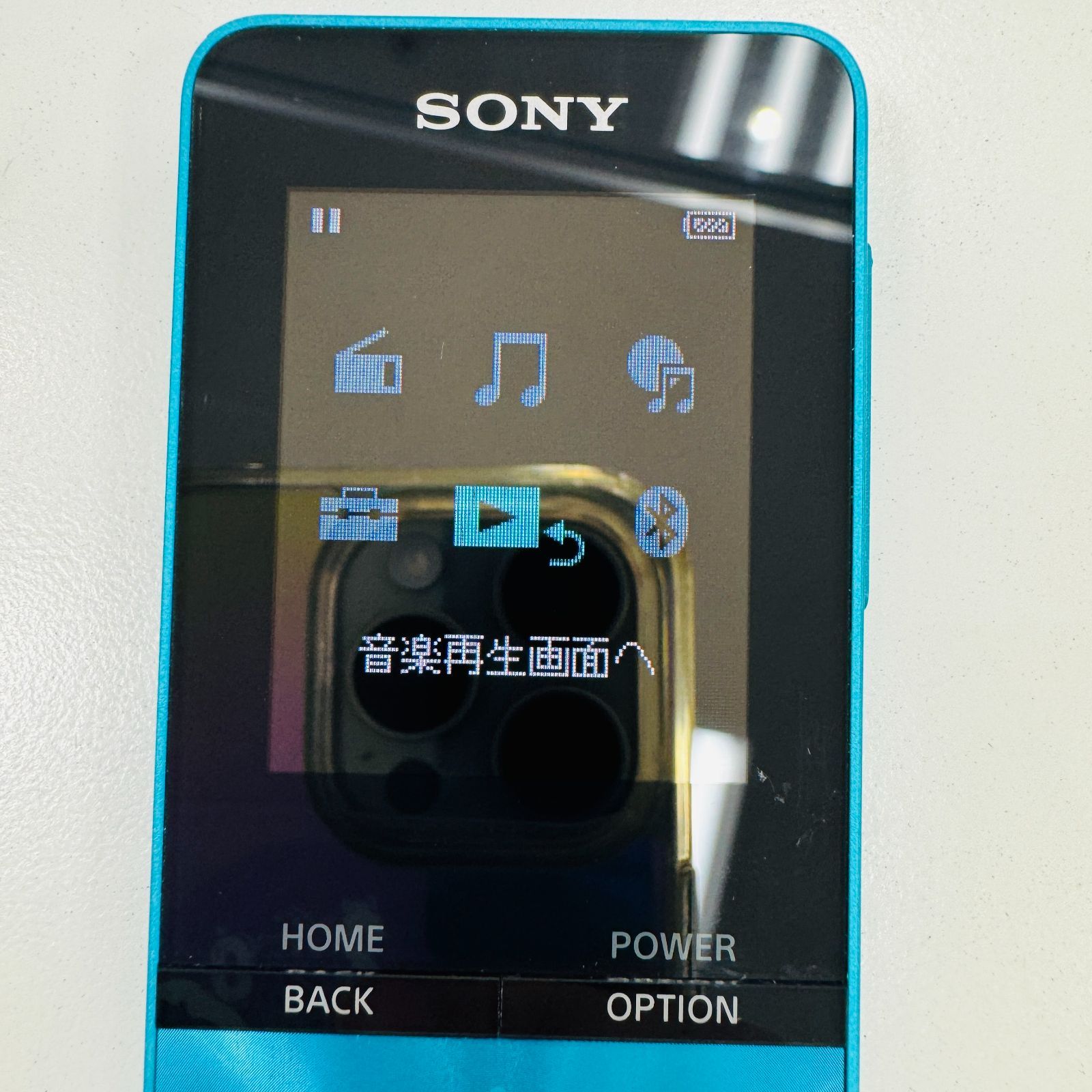 【初期化済み】SONY ウォークマン nw-s315 A【初期化済み】SONY WALKMAN ソニー ウォークマン 16GB NW-S315