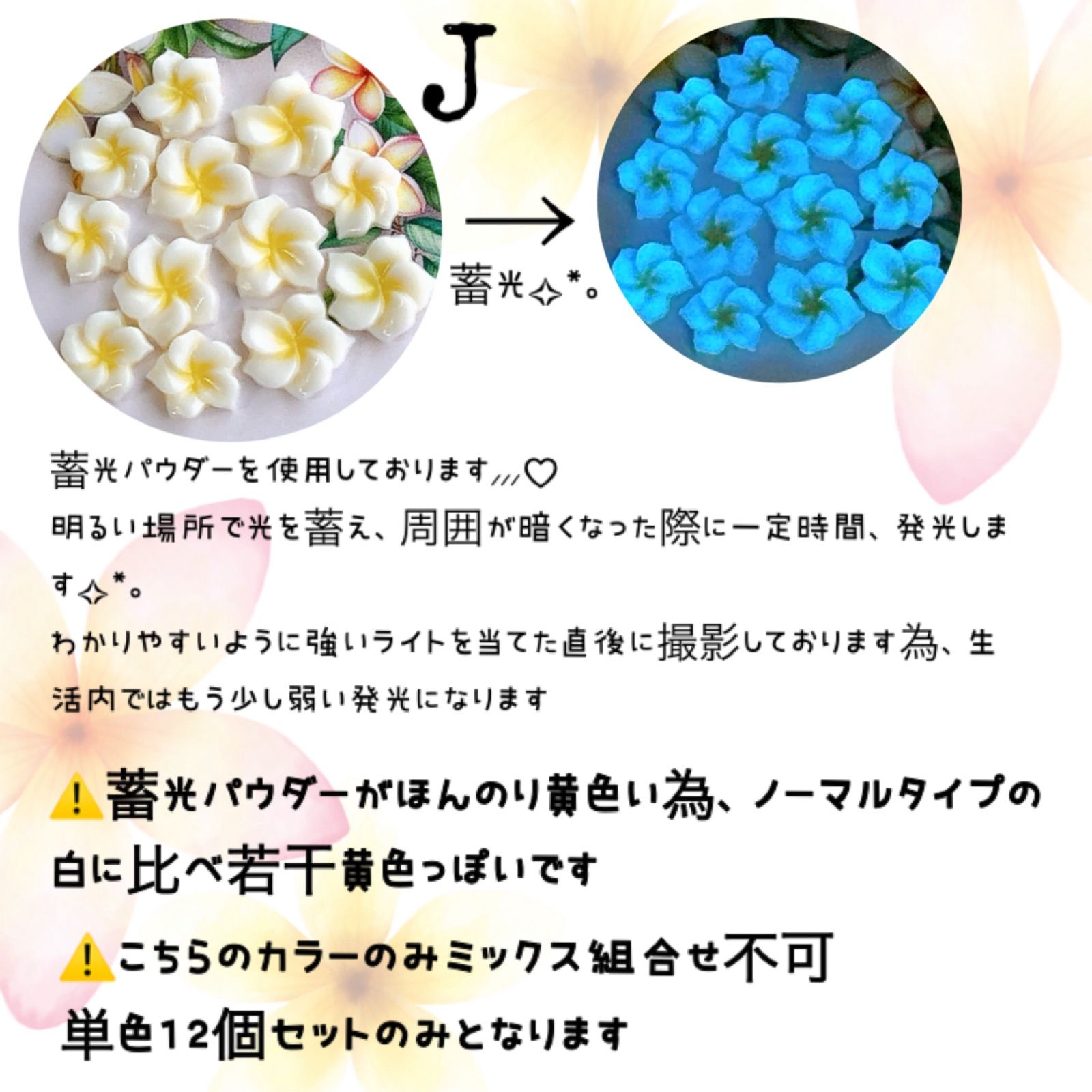 小·極小】プルメリア パーツ 12個セット ハンドメイド DIYインテリア