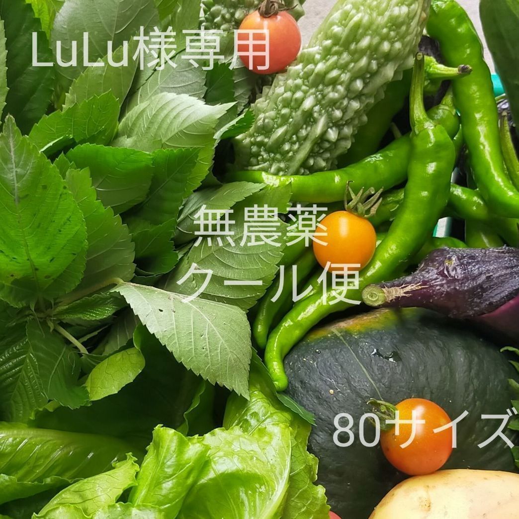 LuLu様専用 採れたて！無農薬お野菜お任せ詰め合わせセット、80サイズ