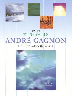 定番，新作登場 ピアノソロ アンドレ・ギャニオン ピアノ・ソリテュード/永遠にu0026ベスト その他