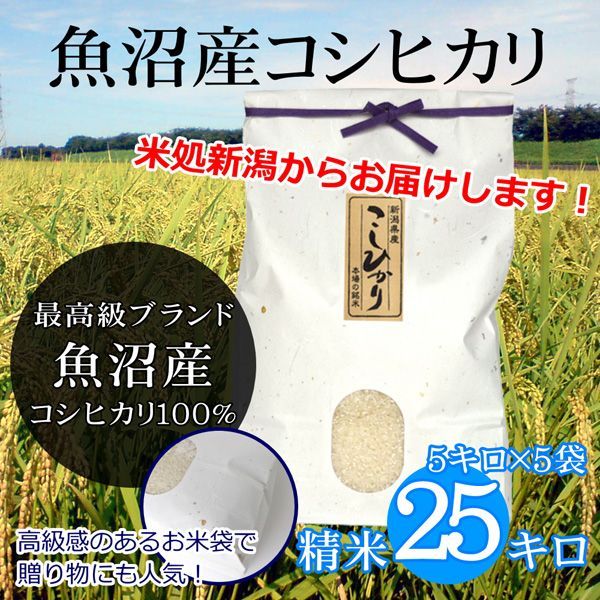 新潟米コシヒカリ 白米 25kg（5kg×5袋）新潟産こしひかり 産地直送