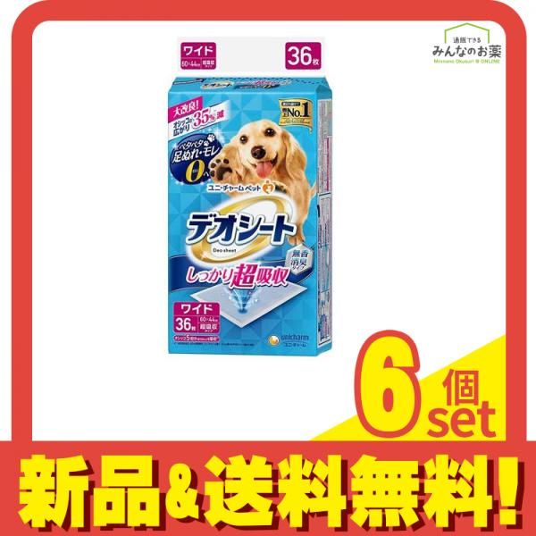 遊戯王 フィラーカード エラーカード テストカード 流出品 カラー 英語