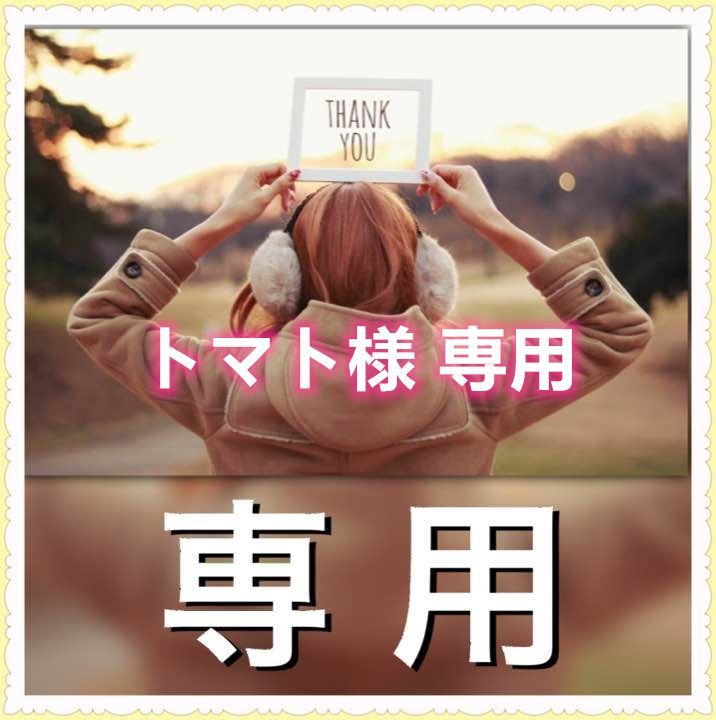 トマト様 専用 プチトマト様 ミニトマト様専用ページ トマト様 専用 プチトマト様 ミニトマト様専用ページ