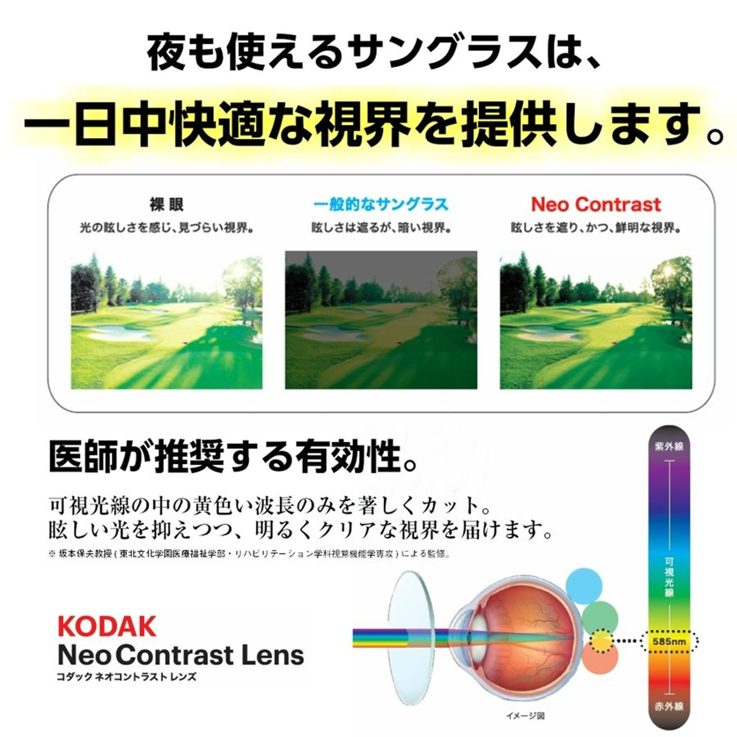Kodak ネオコントラスト サングラス 夜も見やすい コダック 眼病予防 