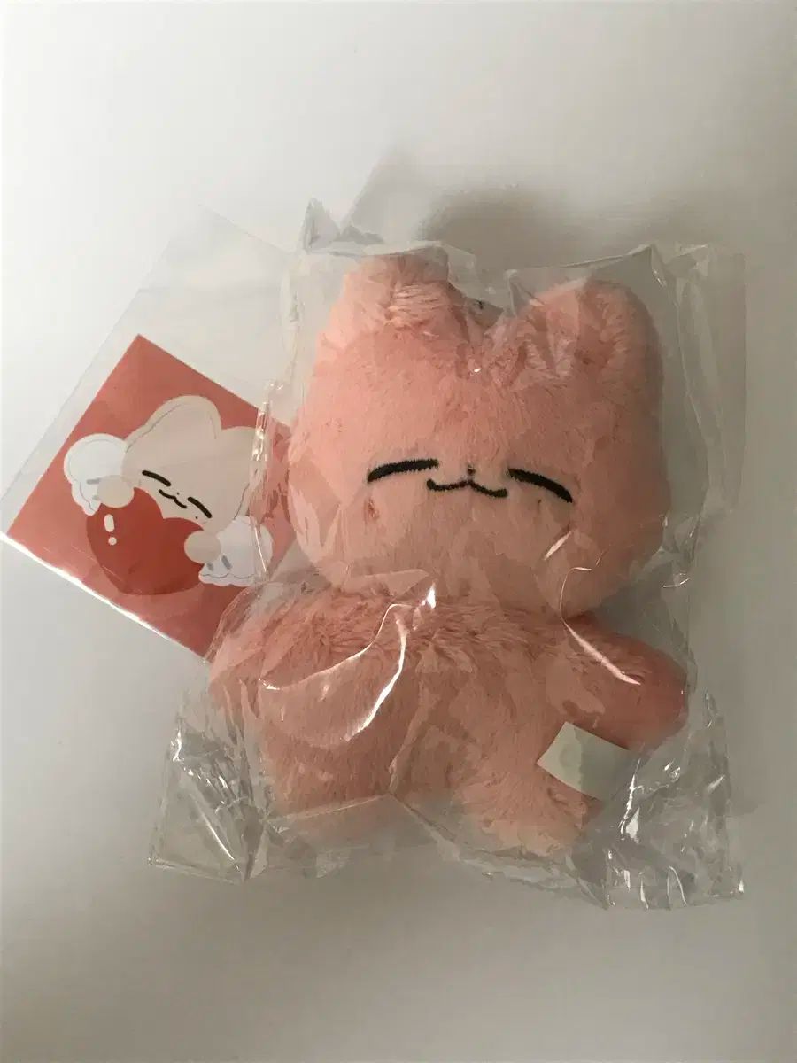 NCT127 ジェヒョン マスター ぬいぐるみ ジェンニャン 猫 イリチル nct127 ジェヒョン ぬいぐるみ イリチル マスター - メルカリ