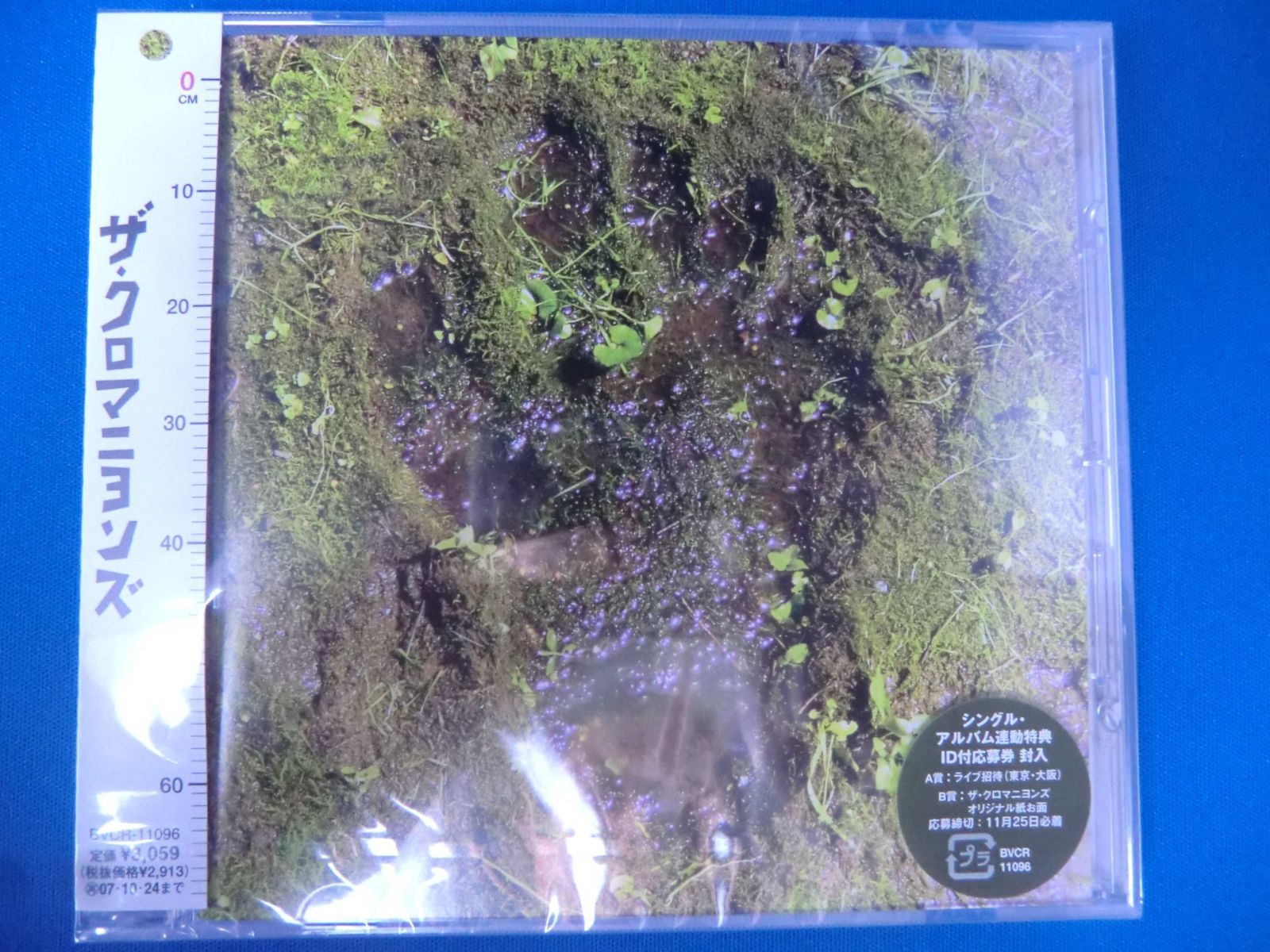 CD 【CD】クロマニヨンズ / ザ・クロマニヨンズ (BVCR-11096)