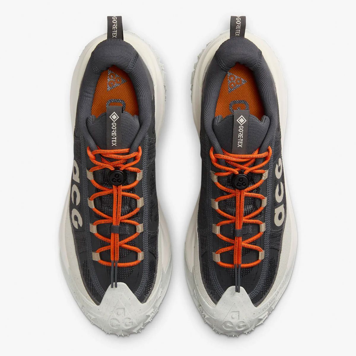 ナイキ] ACG マウンテン フライ 2 ロー GTX [ACG MOUNTAIN FLY 2 LOW 