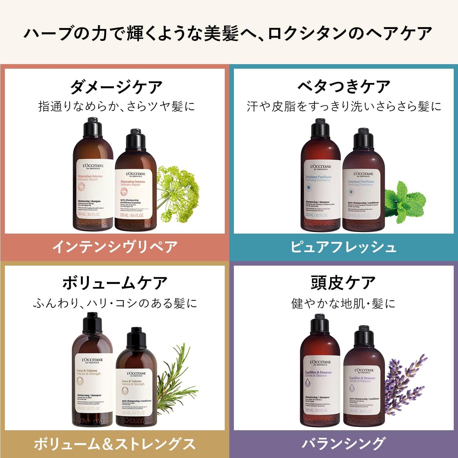 ロクシタン バランシング シャンプー＆コンディショナーセット 500ML