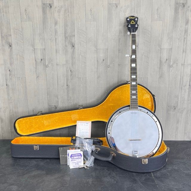☆美品☆ Vine BANJO バンジョー LUMITONE 5弦 ハードケース