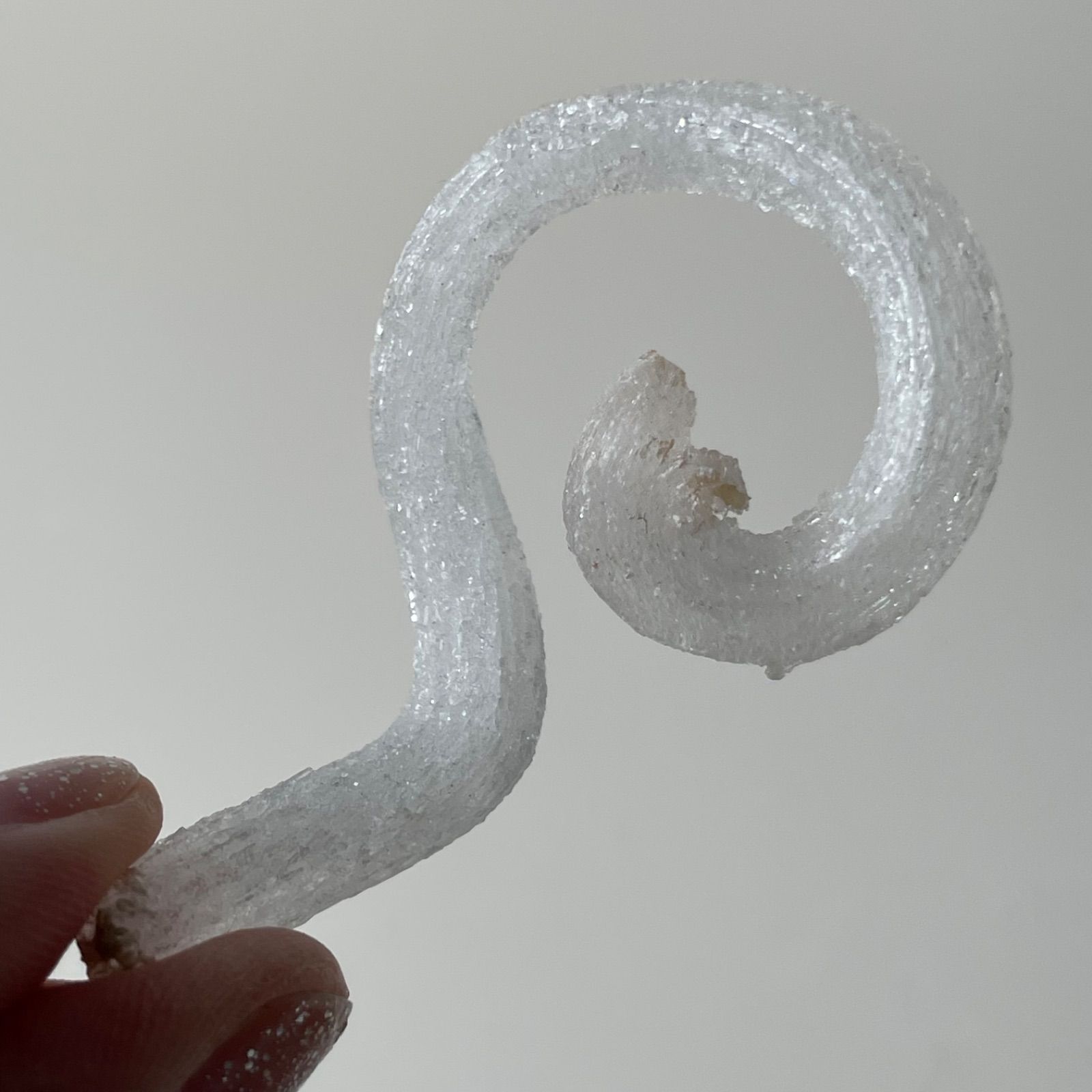 中国　貴州省産︎Ram’s Horn Selenite ラムズホーンセレナイト②|原石|天然石　パワーストーン　gem stone