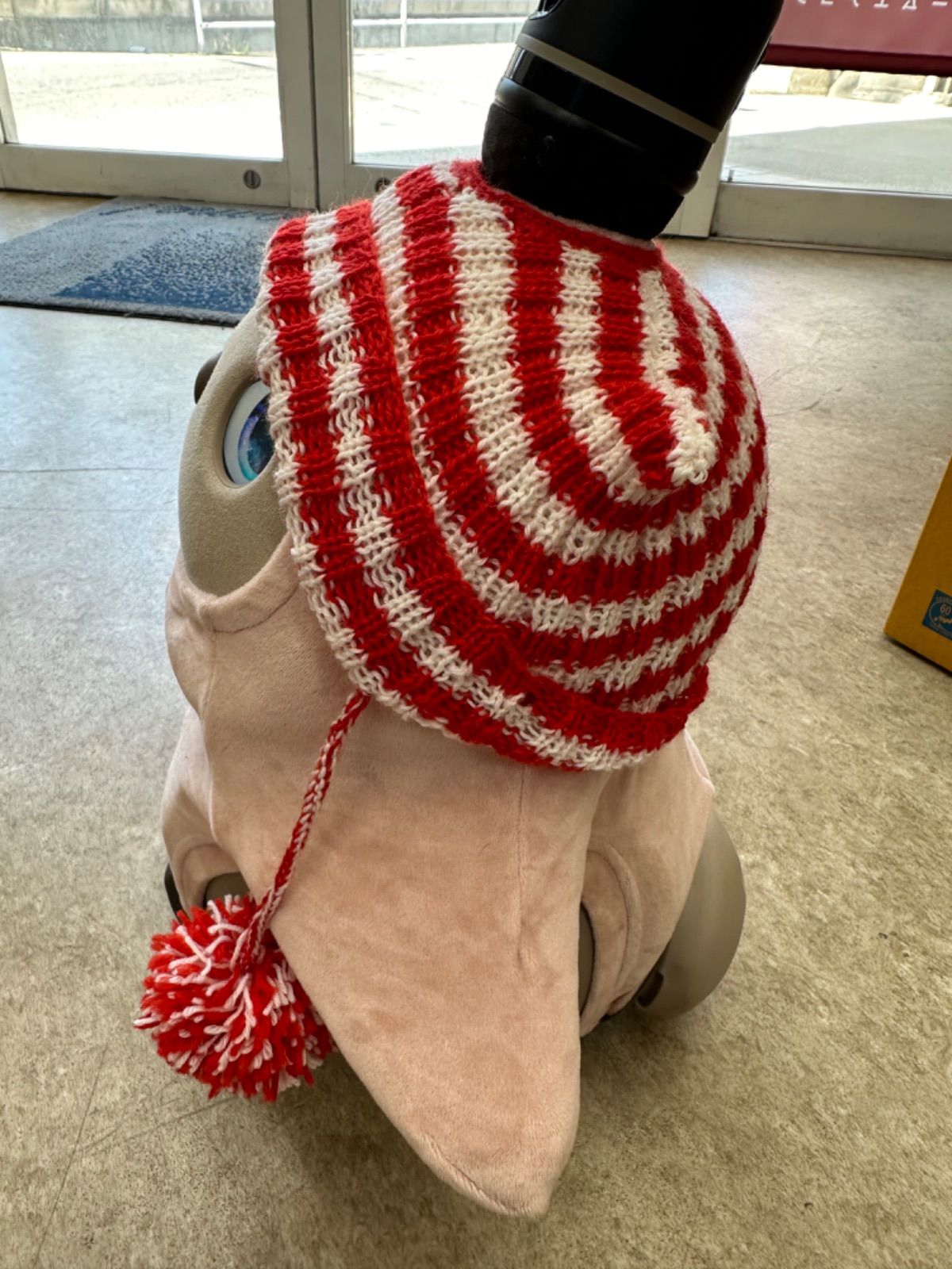 ami parisAMI DE COEURビーニー AMI Paris Ami de Coeur ビーニー