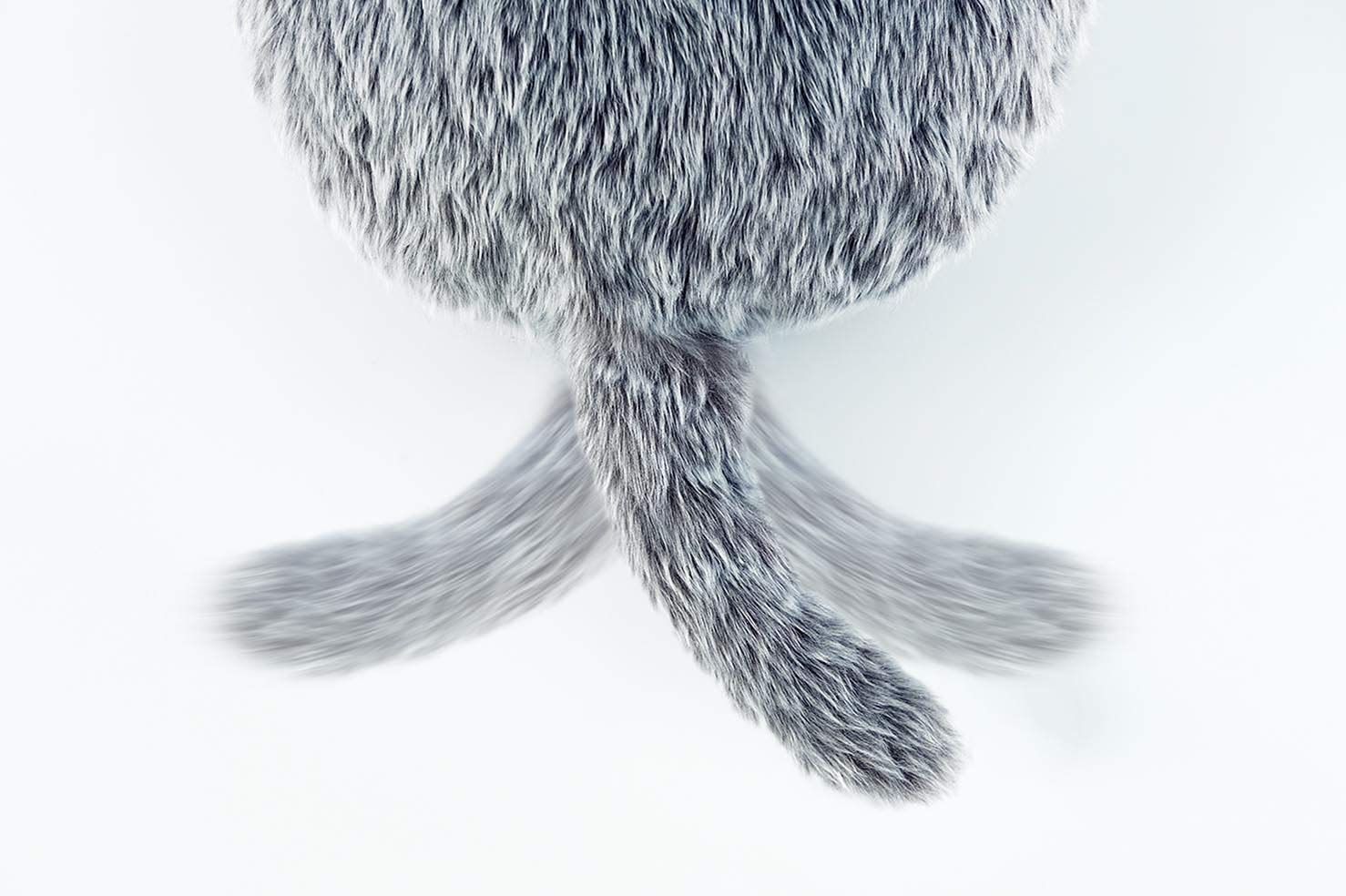 グレー クッション