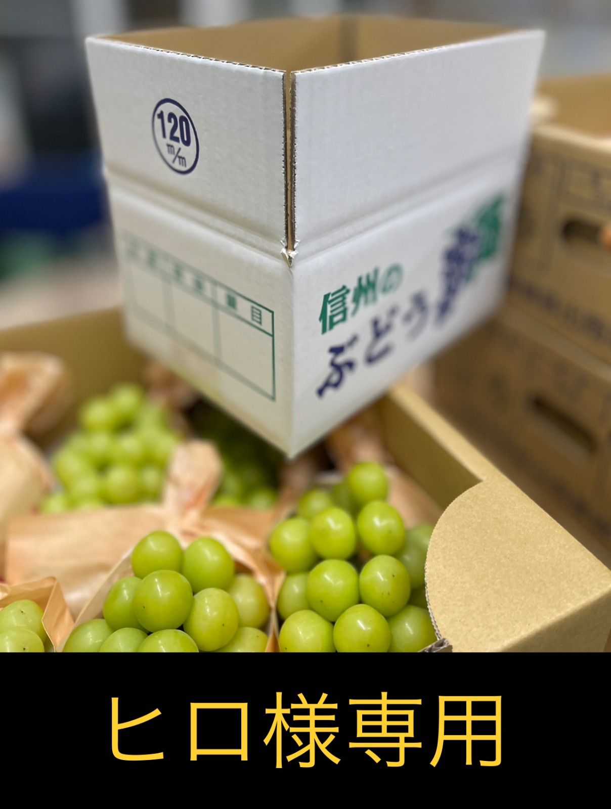 ひろ様 専用 Hiro。さま専用ページ hiro様専用ページ ヒロ様専用 ヒロ様