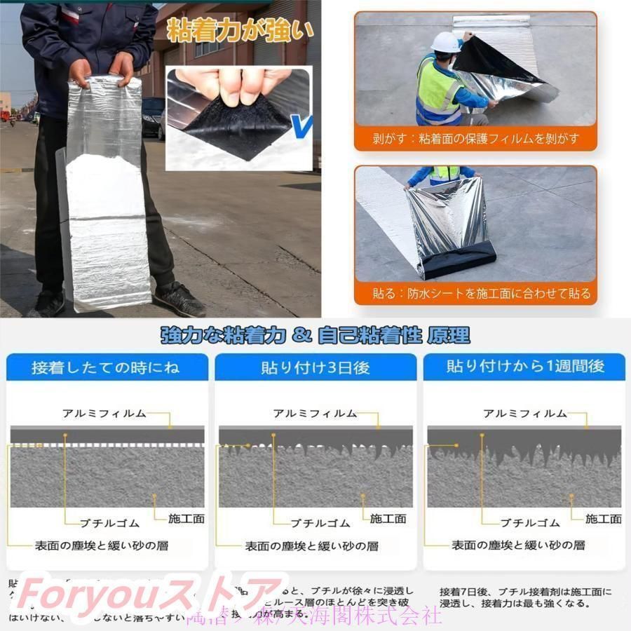 アセアン トレイルチャレンジ【ハゲワシ】ピンバッジ【ASEAN限定非売品】 アセアン トレイルチャレンジ【ハゲワシ】ピンバッジ【ASEAN限定