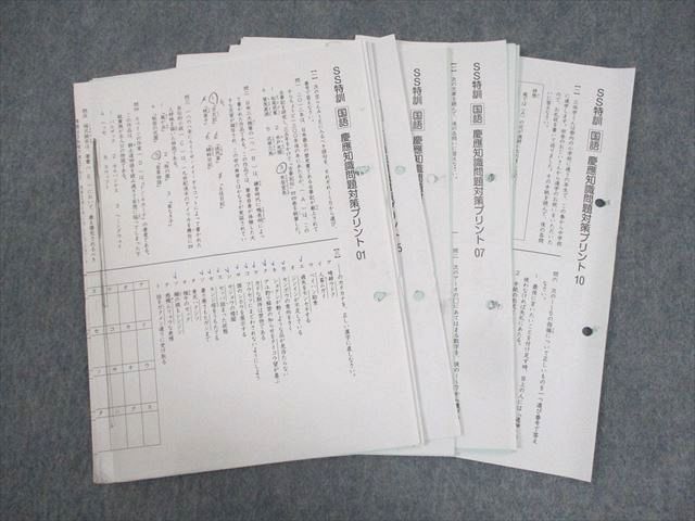 SAPIX サピックス 小6 国語 慶應知識問題対策プリント01～10