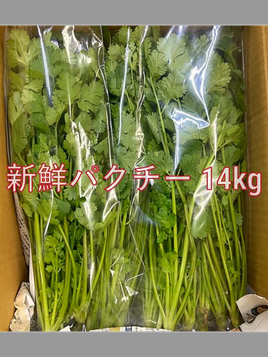 新鮮香り豊かなパクチー 14kg